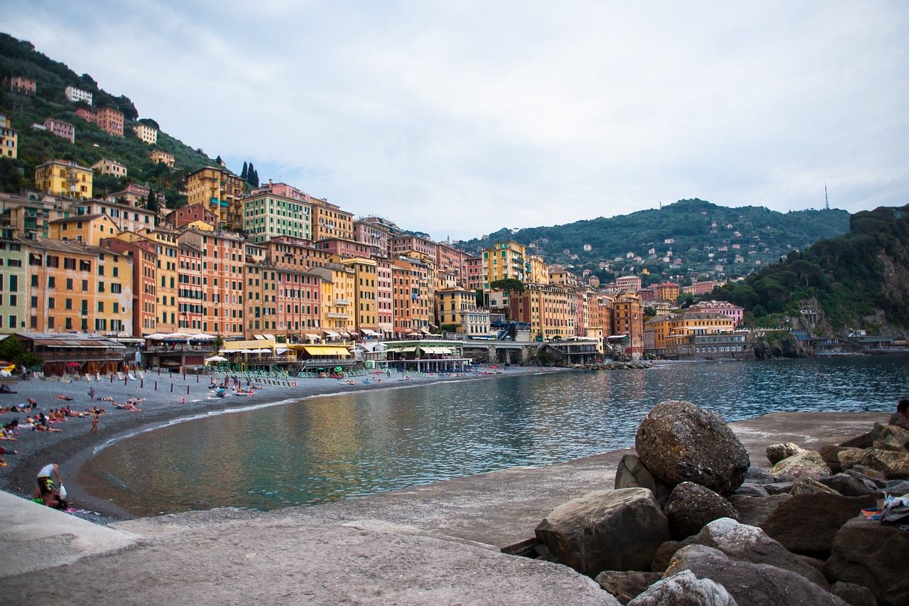 金属硅最新价格动态及其市场影响力分析