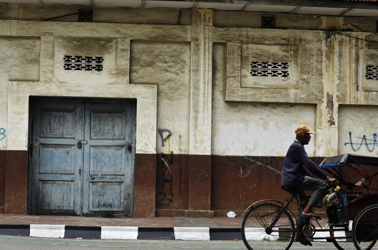 社会变迁中的老年力量,银发族最新信息解析