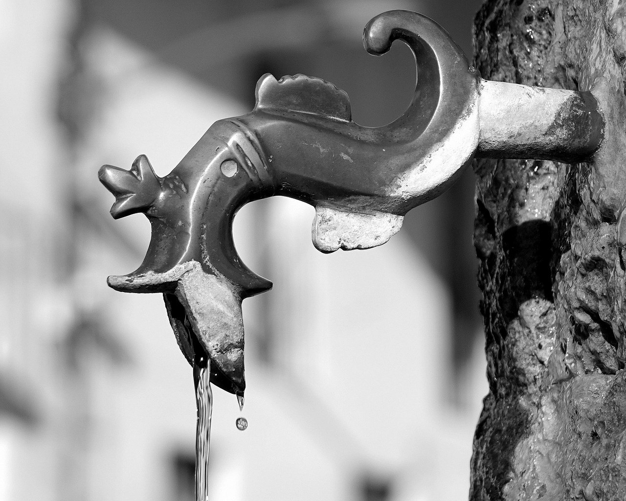 亚阿亚地区最新局势深度分析，动态与前景展望