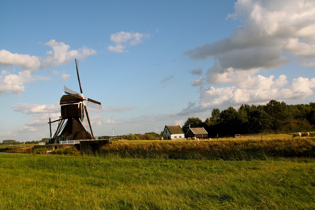 领地最新动态,重塑城市景观,开启未来生活新篇章