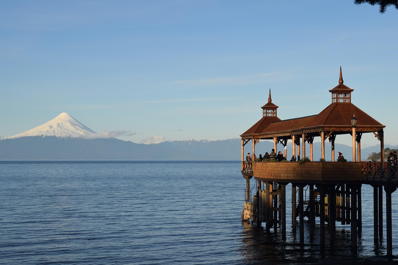 周蕙音乐之旅开启全新篇章,最新消息与动态