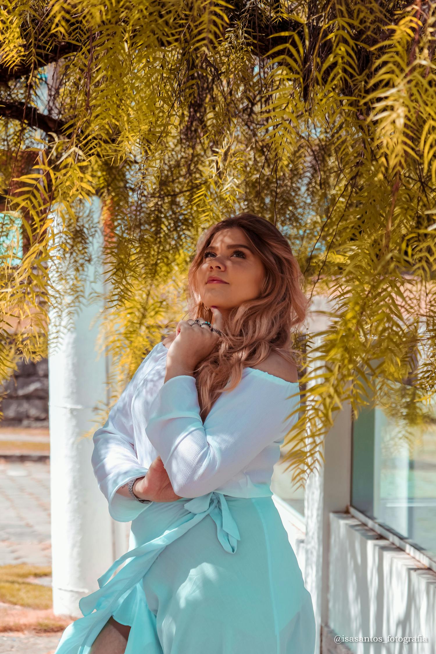 上海绿地最新动态,城市绿肺的成长与变迁