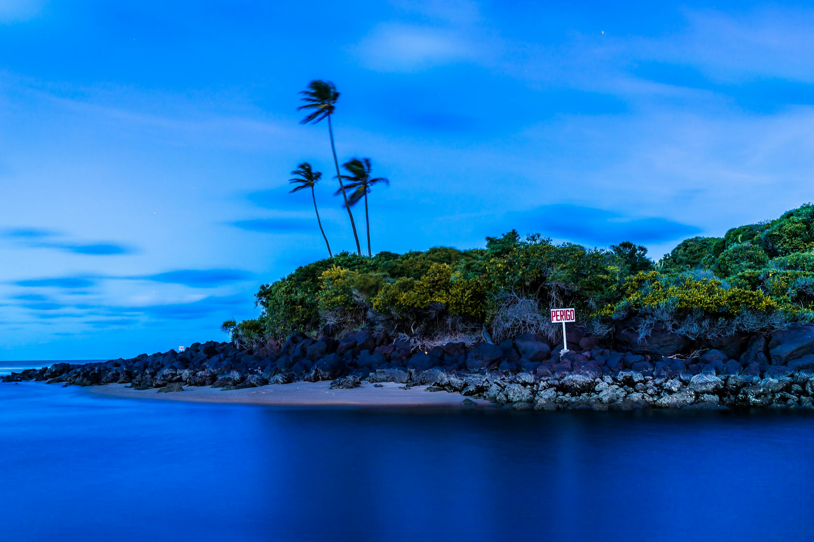 苹果读书最新网站,探索知识的海洋之旅