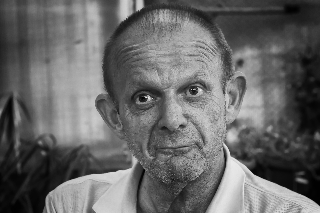 徐贲最新著作,深度探索与独特思考的魅力