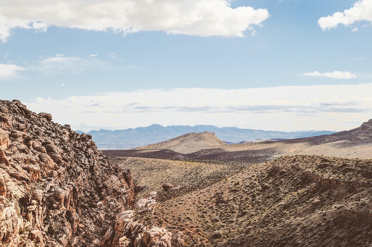 唐惟苏颜最新动态,探索与启示的旅程