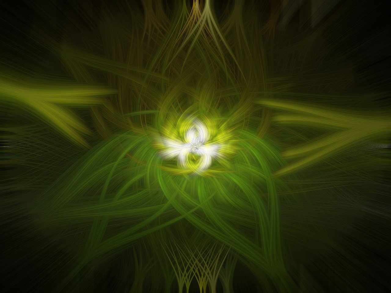 唐惟苏颜最新动态,探索与启示的旅程