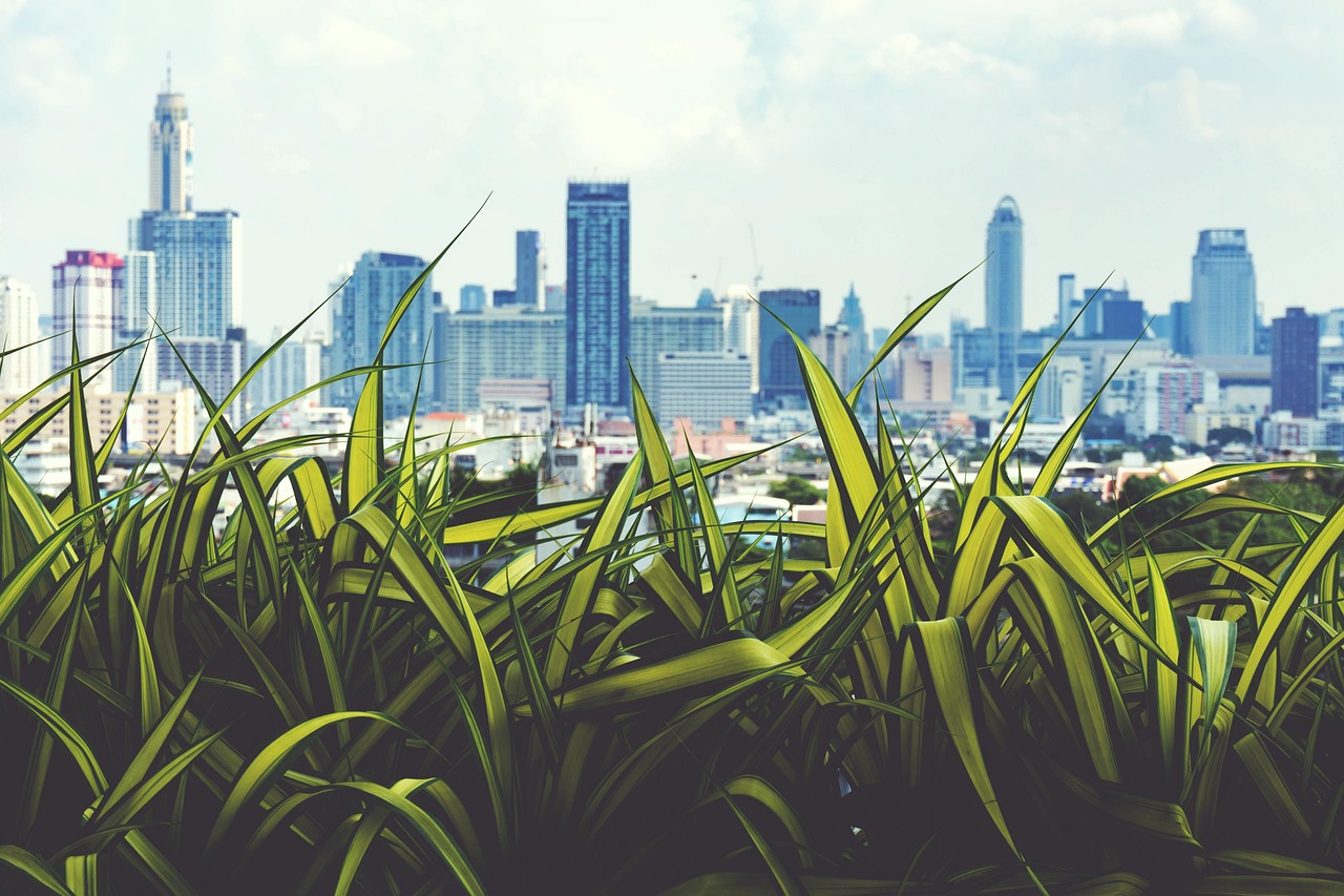 进京检查站最新动态,升级改进行动进行中