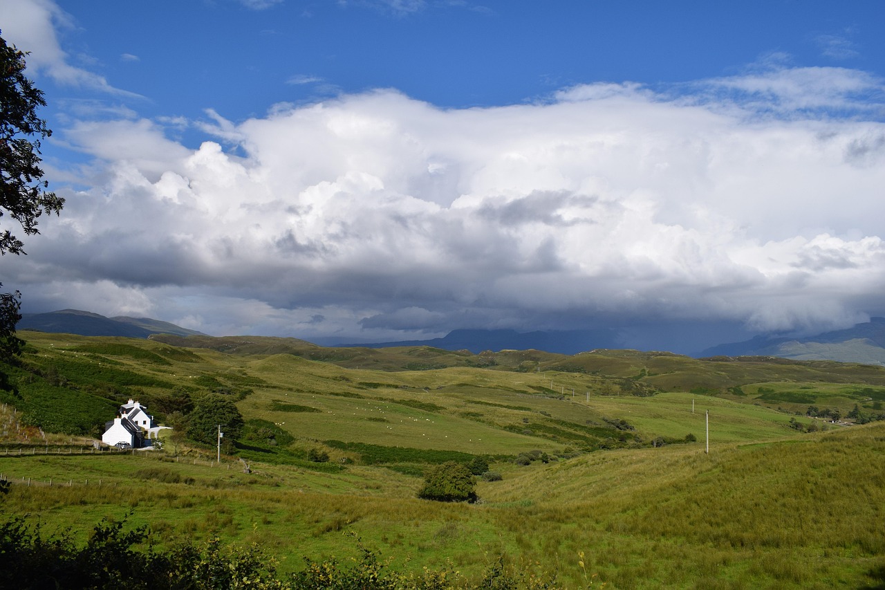 英雄联盟最新版本的全面解析、探索与更新动态