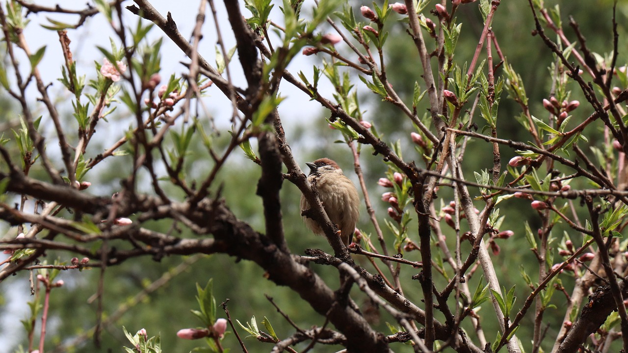 广州新增肺炎疫情最新动态及动态分析